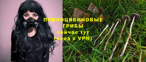 MESCALINE Богородск