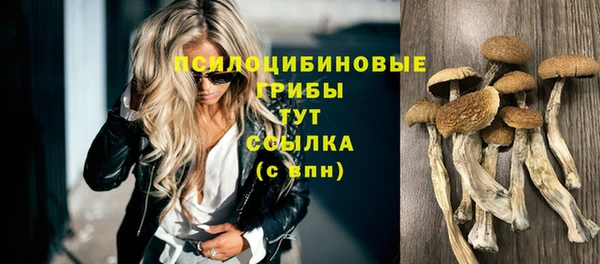 MESCALINE Богородск