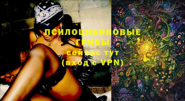 хмурый Богородицк